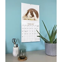 Bunnies and Friends 2027 Wall Calendar