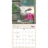 Lambies In Jammies And Goats In Coats 2026 Mini Calendar