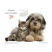 Puppies and Friends 2027 Box Calendar
