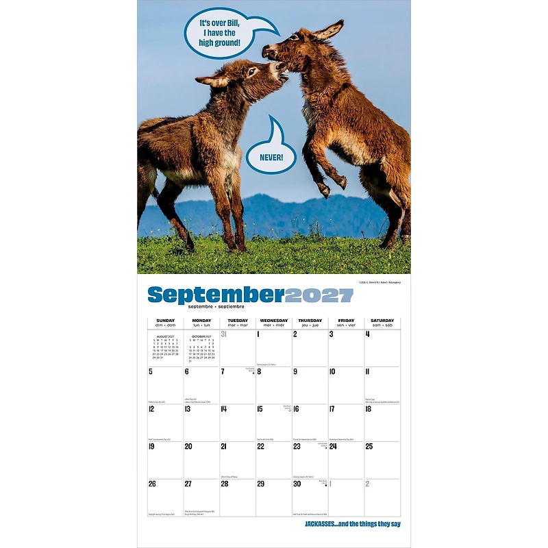 Jackasses 2027 Wall Calendar