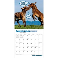Jackasses 2027 Wall Calendar