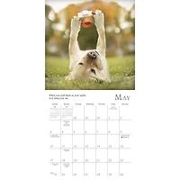 Dogma 2026 Mini Calendar