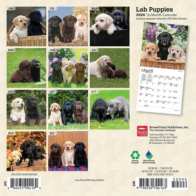 Lab Puppies 2026 Mini Calendar
