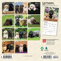 Lab Puppies 2026 Mini Calendar