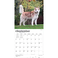 Siberian Huskies 2027 Wall Calendar