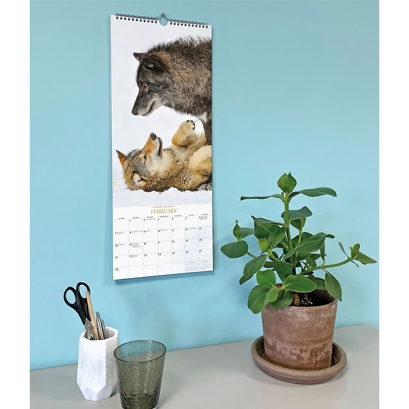 Wolves 2027 Poster Calendar