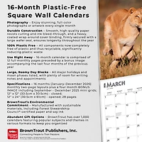 Lions 2026 Wall Calendar - Online Only