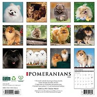 Just Pomeranians 2026 Wall Calendar