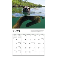 World Wildlife Fund Sloths 2027 Wall Calendar