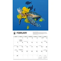 World Wildlife Fund Sea Turtles 2027 Wall Calendar