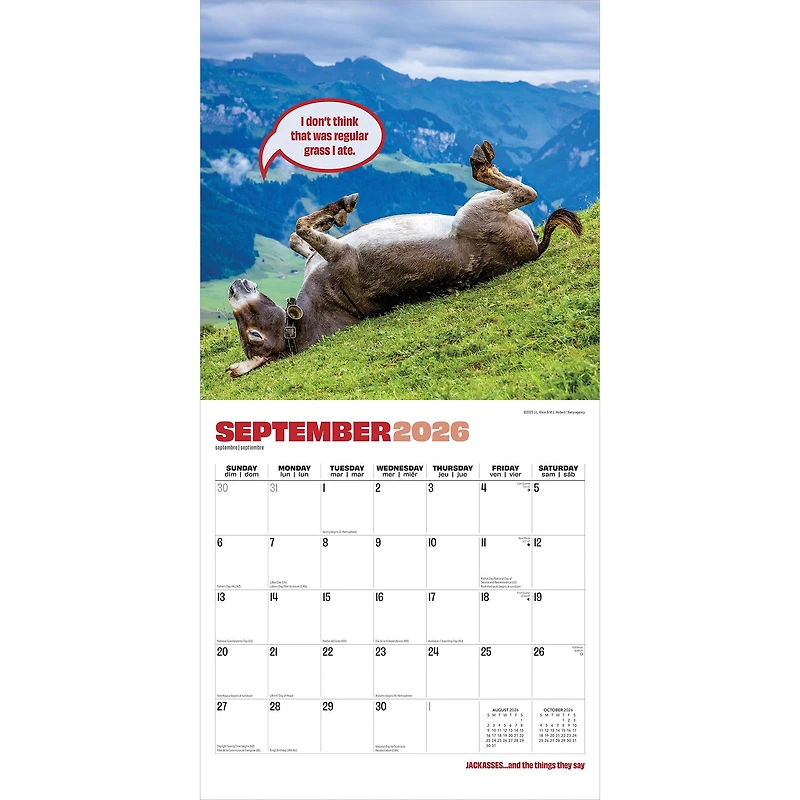 Jackasses 2026 Wall Calendar