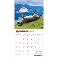 Jackasses 2026 Wall Calendar