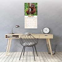 Apes 2027 Wall Calendar - Online Only