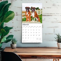 Boxers International 2026 Wall Calendar