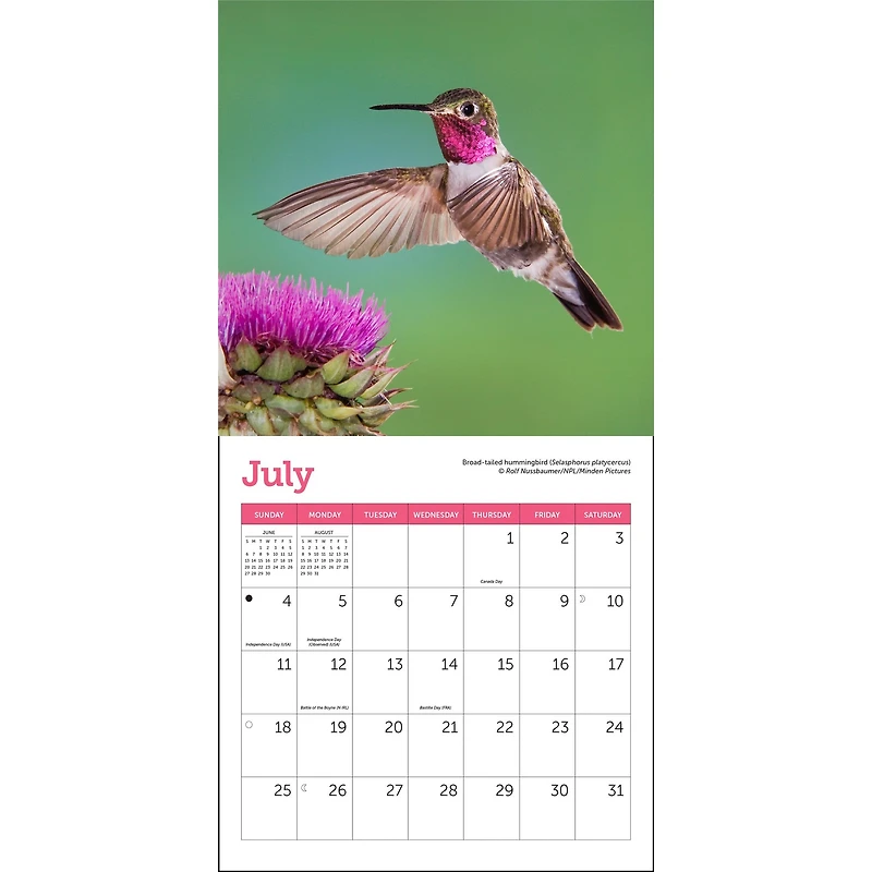 Hummingbirds 2027 Mini Calendar