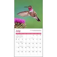 Hummingbirds 2027 Mini Calendar
