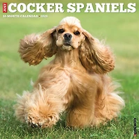 Just Cocker Spaniels 2026 Wall Calendar