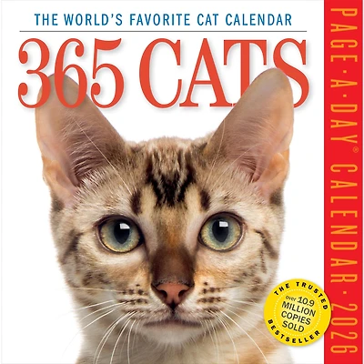 Cats 365 2026 Box Calendar