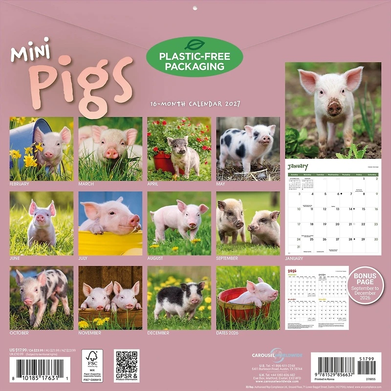 Mini Pigs 2027 Wall Calendar