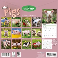 Mini Pigs 2027 Wall Calendar