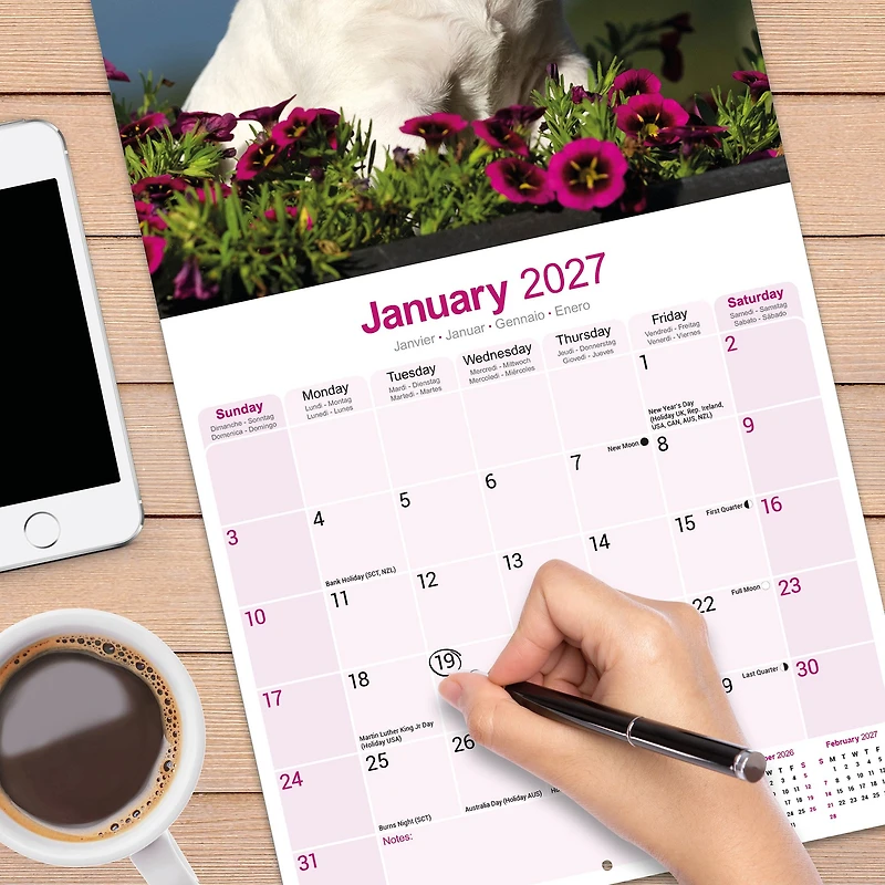 Bull Terriers 2027 Wall Calendar