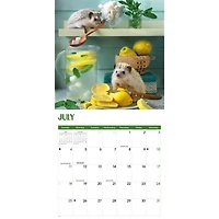 Hedgehogs! 2027 Wall Calendar