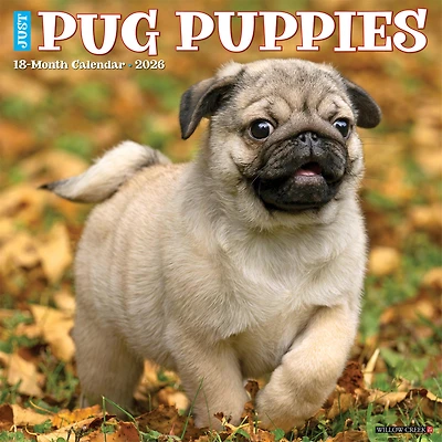 Just Pug Puppies 2026 Wall Calendar