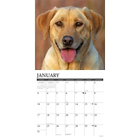 Yellow Labs 2027 Wall Calendar