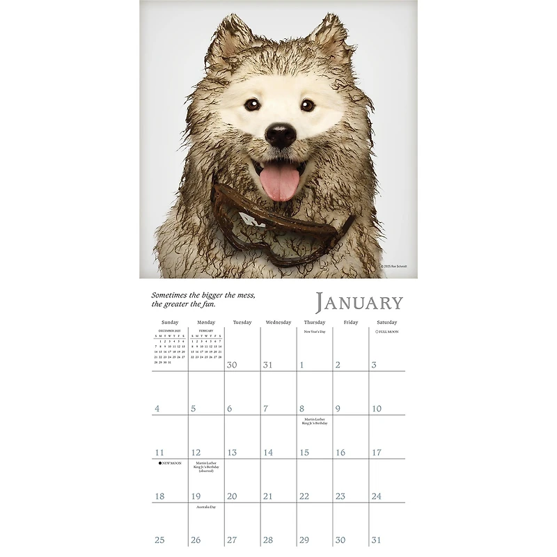 Dogma 2026 Mini Calendar