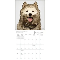 Dogma 2026 Mini Calendar