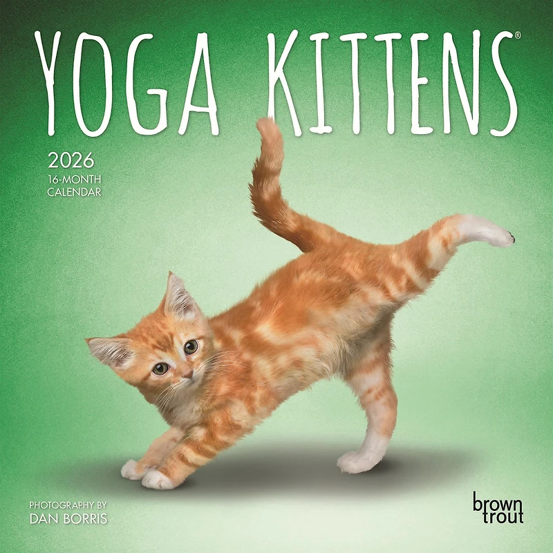 Yoga Kittens 2026 Mini Calendar