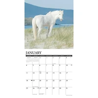 Wild Horses 2026 Wall Calendar