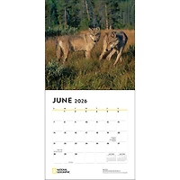 National Geographic Wolves 2026 Wall Calendar