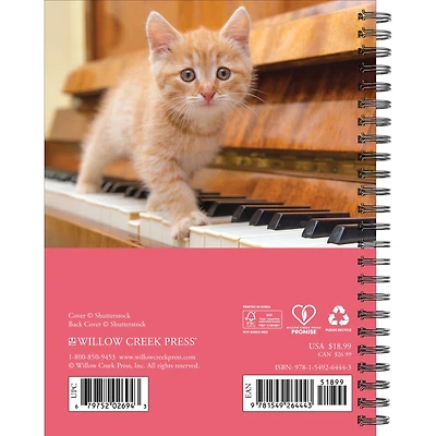 What Cats Teach Us 2027 Engagement Calendar