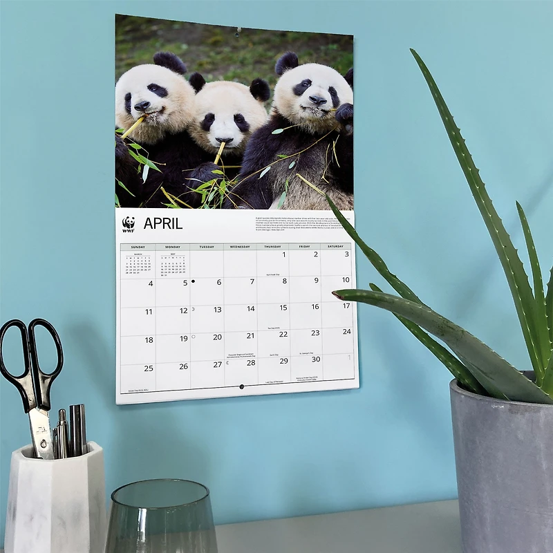 World Wildlife Fund Giant Pandas 2027 Wall Calendar