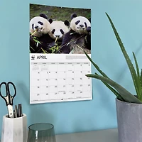 World Wildlife Fund Giant Pandas 2027 Wall Calendar