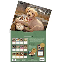 Puppy 2027 Wall Calendar - Online Only