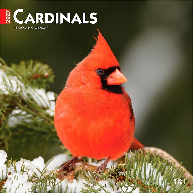 Cardinals 2027 Wall Calendar