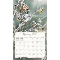 Songbirds 2026 Deluxe Wall Calendar