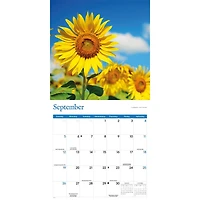 Sunflowers 2027 Wall Calendar