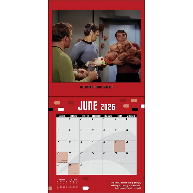 Star Trek Wall  2026 Calendar