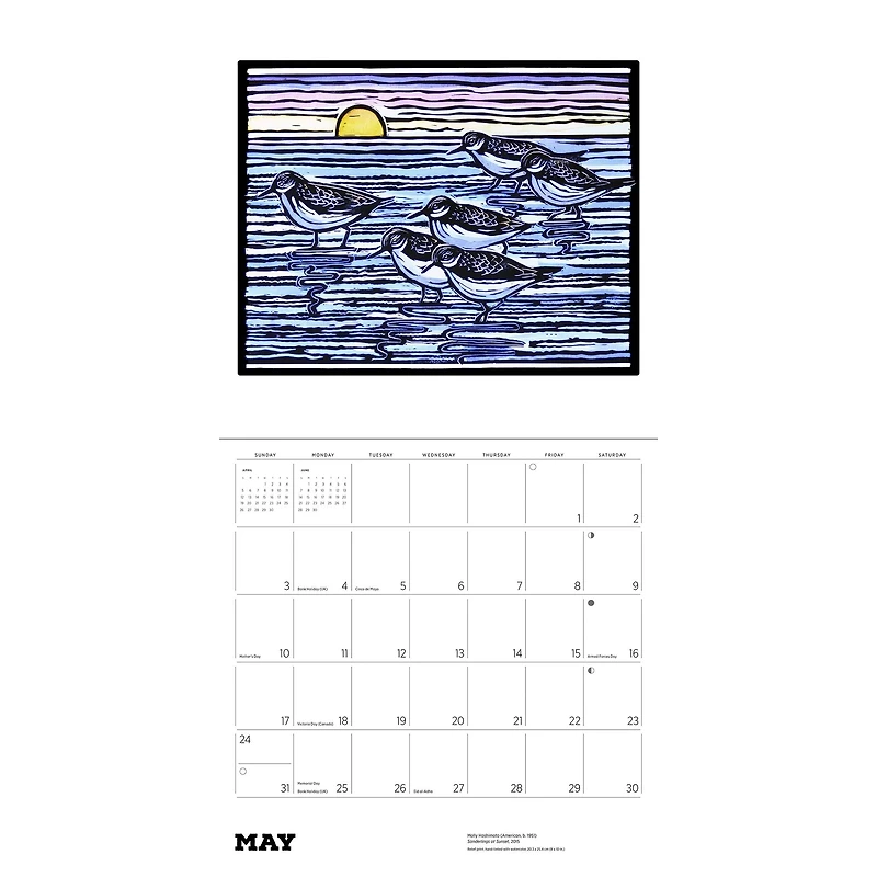 Molly Hashimoto Birds 2026 Wall Calendar