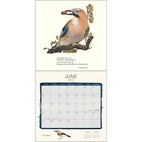 Lost Spells 2027 Wall Calendar - Online Only