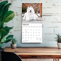 Samoyeds 2027 Wall Calendar
