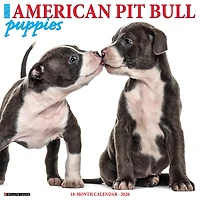 Just  American Pit Bull Terrier Puppies 2026 Wall Calendar - Online Only