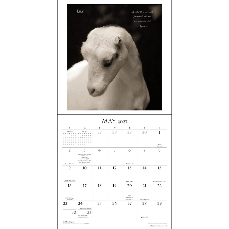 I Am Goat 2027 Wall Calendar