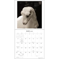 I Am Goat 2027 Wall Calendar