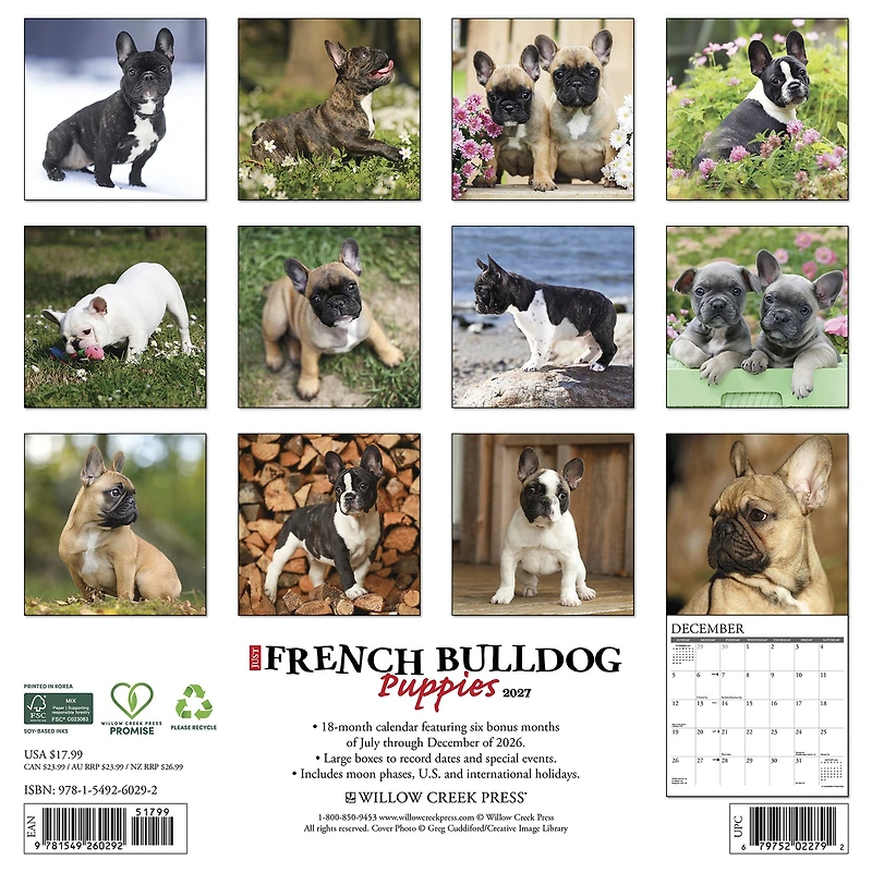French Bulldog Puppies 2027 Wall Calendar