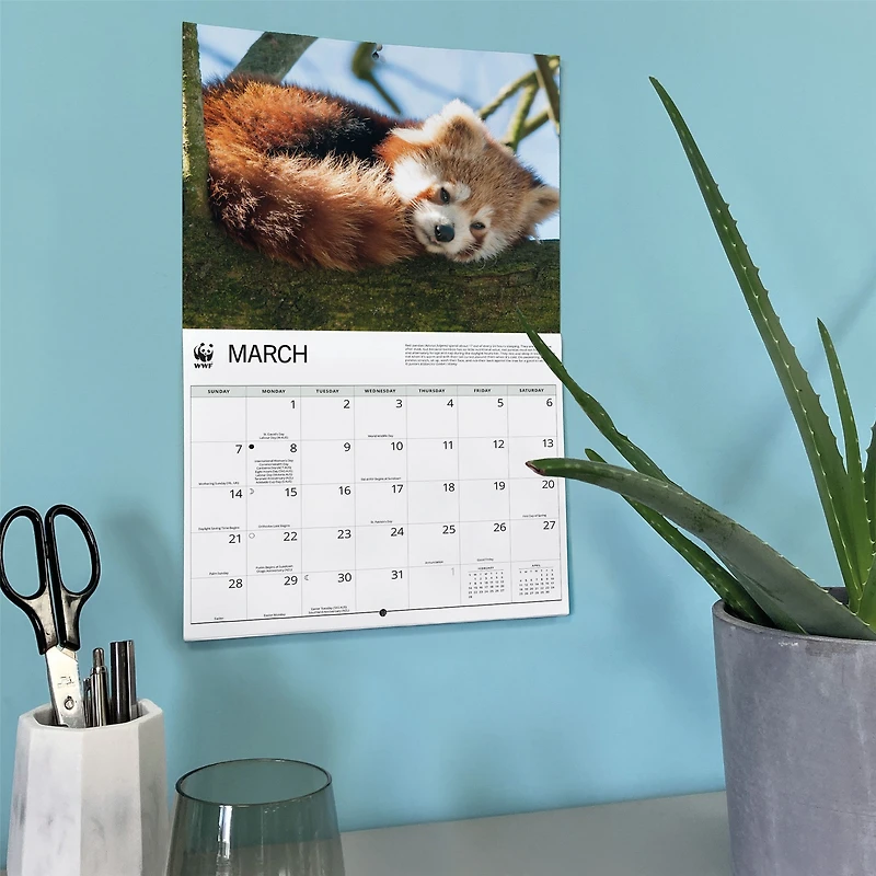 World Wildlife Fund Red Pandas 2027 Wall Calendar