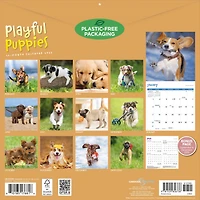 Playful Puppies 2027 Wall Calendar